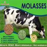 Molasses small-image